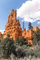 Bryce Canyon